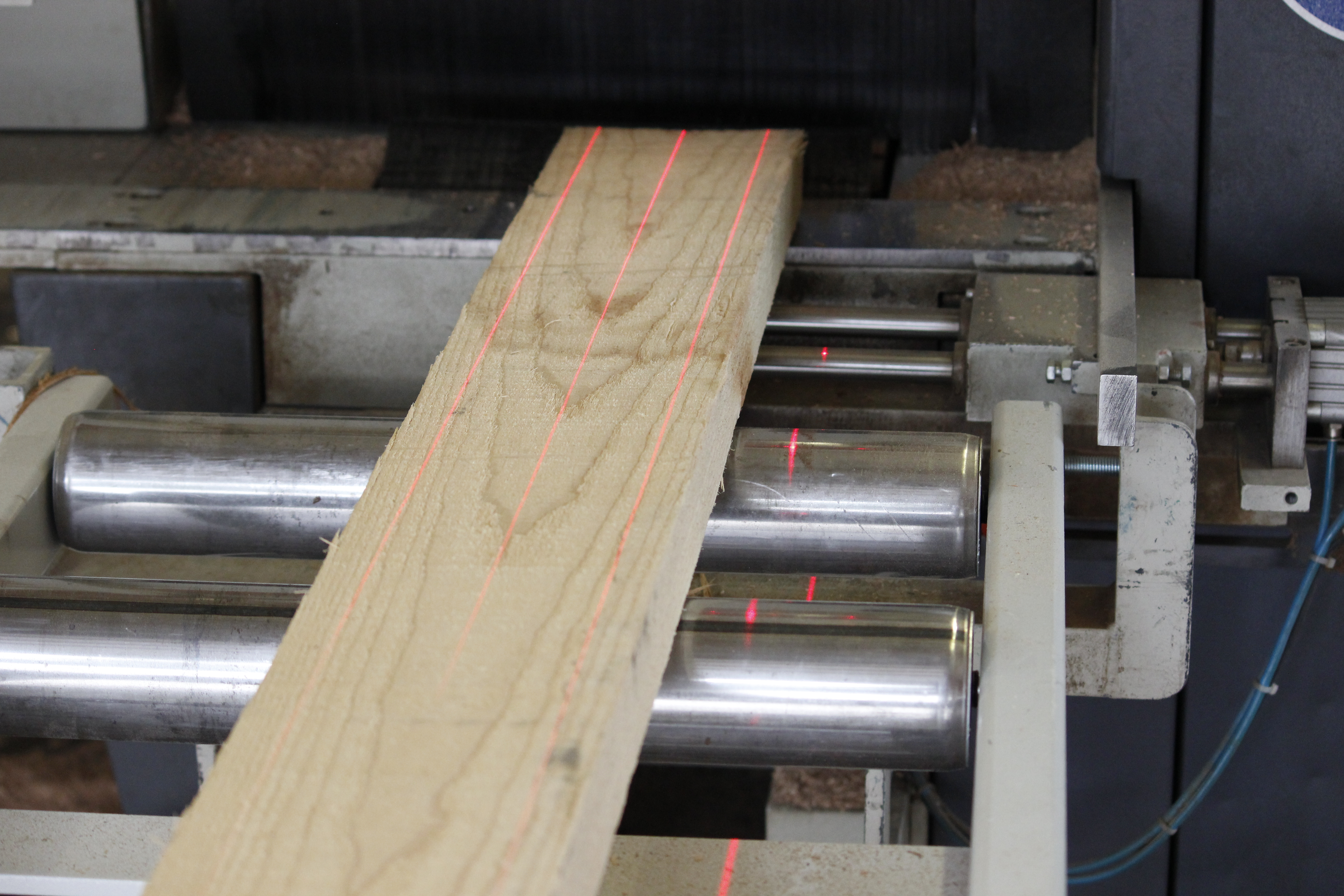 Tavola di legno su rulli della macchina con linee laser rosse durante il taglio su misura nella produzione di davanzali