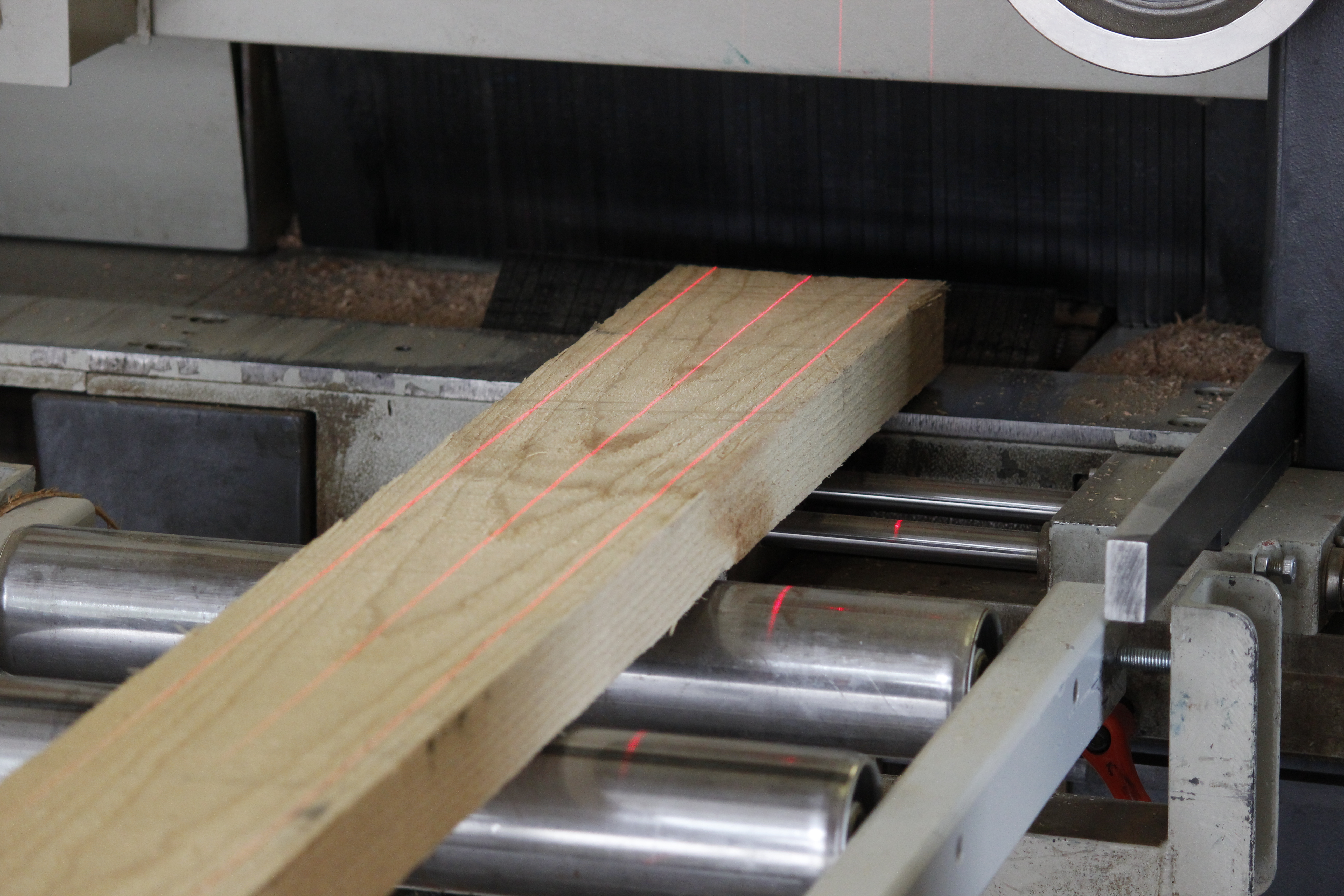 Produzione di davanzali in legno massello: grezzo di legno su rulliera di una sega con linee laser rosse, officina