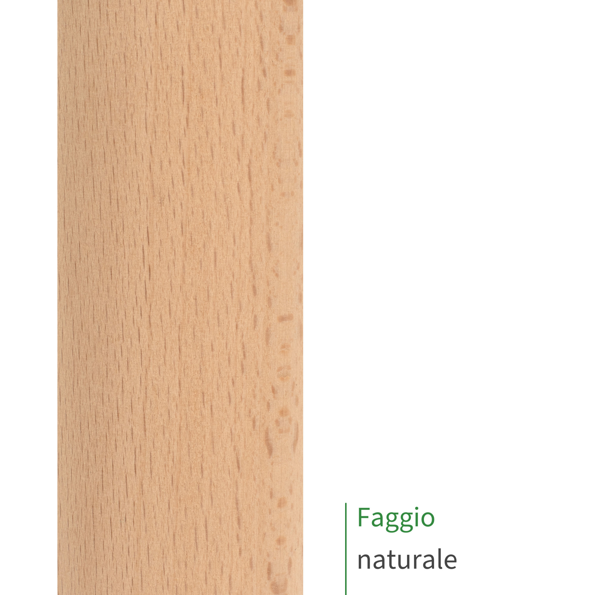 Barra tonda in legno di faggio naturale, primo piano della superficie del legno con venatura fine e tonalità chiara