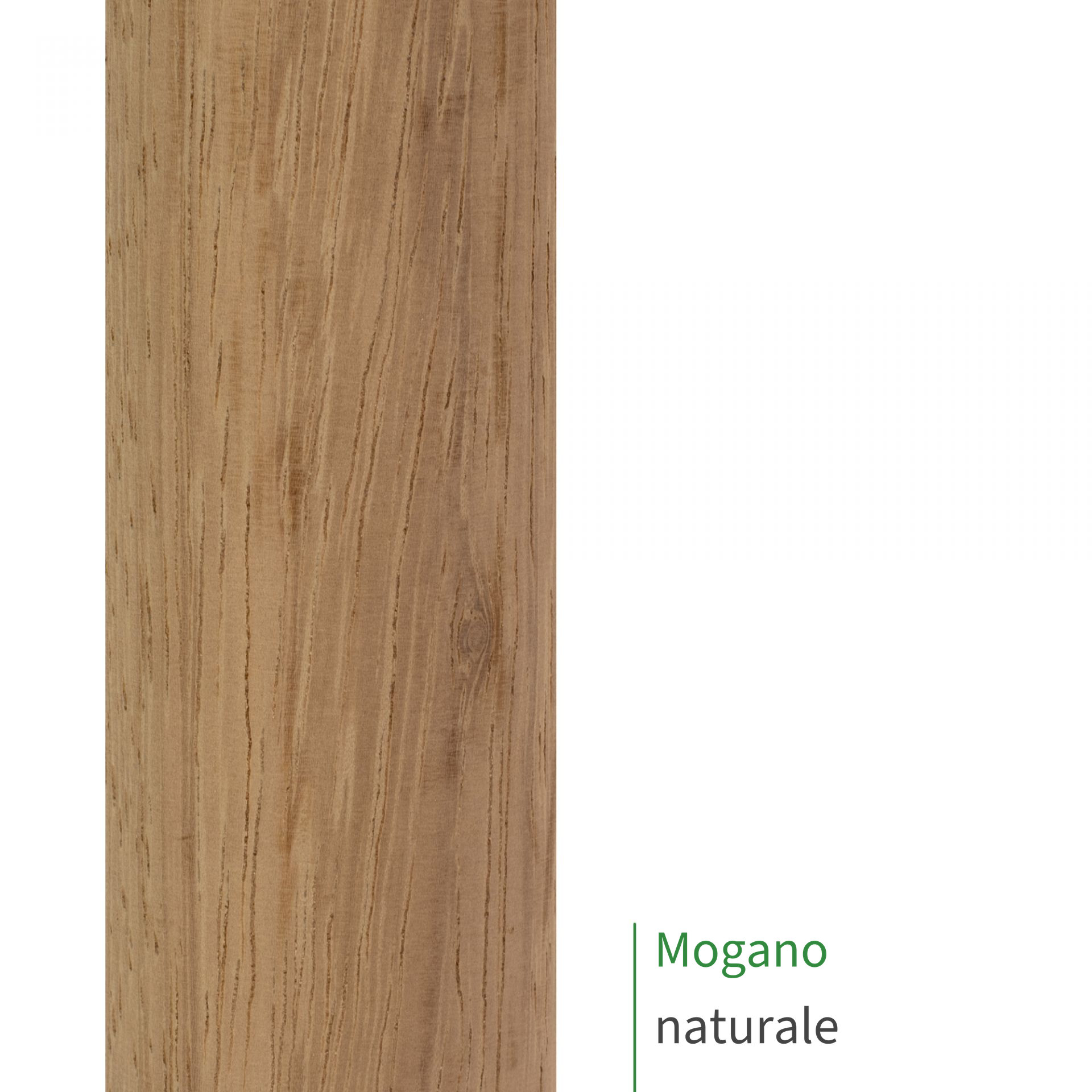 Corrimano ovale in mogano naturale, primo piano della superficie del legno con venatura fine e tonalità bruno chiara