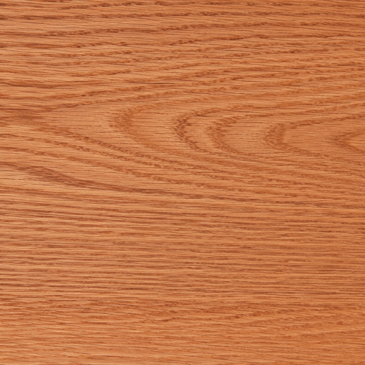 Rovere rosso